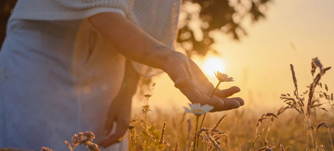 woman in field under universe