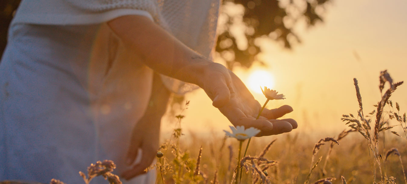 woman in field under universe